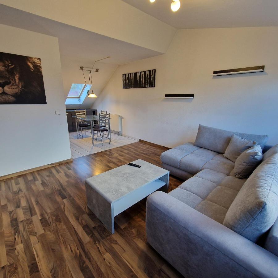 Dm Hotels & Apartments - Apartment Dosborn 5-9 Dingelstadt Zewnętrze zdjęcie